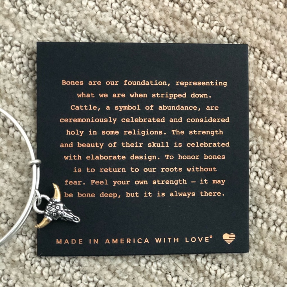 NWT! Alex and Ani Spirited Skull charm bracelet - Picture 4 of 4